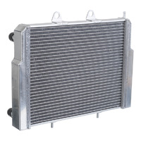 Radiator for 2016 Polaris 900 Ace EFI EPS - 1240444