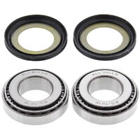 Steering Bearing & Seal Kit for 2012-2016 Harley Davidson 1200 XLV Seventy-Two 