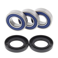 Rear Wheel Bearing & Seal Kit for 1994-2012 Yamaha TTR250 