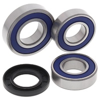 Rear Wheel Bearing & Seal Kit for 2014-2017 KTM 690 Duke R 