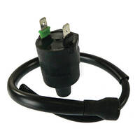 Ignition Coil for 1986 Honda TLR200 