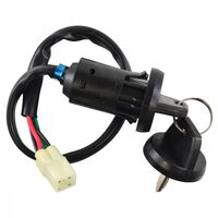 2006-2014 Honda TRX450ER 2WD RMStator 2-Pos Ignition Key Switch