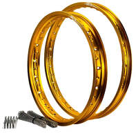 Front & Rear Gold DID Rim & Spokes Set for 2021-2025 GasGas MC125 - 21/19