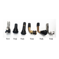 TV4 Bent Bolt-In Tubeless Tyre Valve (single)