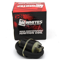 12V Electrical Coil for 1992 - 2001 Yamaha YFM80 Badger