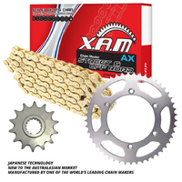 XAM Gold X-Ring Chain & Sprocket Kit for 1996-2023 Suzuki DR650SE 15/41